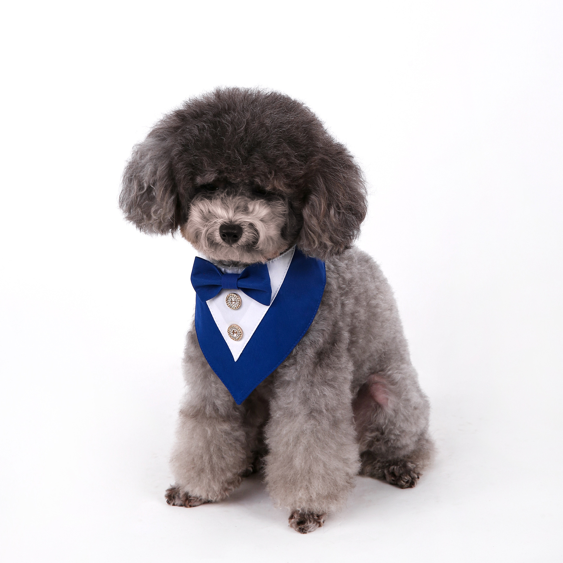 Navidad Año Nuevo Spot transfronterizo boda británica trajes toallas para mascotas bufandas perros velcro toallas para mascotas triángulos