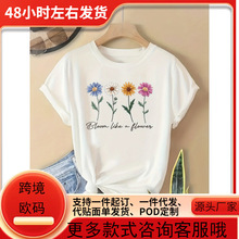 Ůʿ���e����T�� - �͹Ż���ӡ��&ldquo;�绨��`��&rdquo;�Z䛣���ܛ�����A