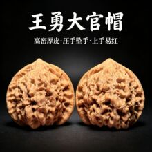 涞水麒麟纹大官帽麻核桃精品文玩收藏级别盘玩手把件送礼佳选男QW