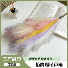 ���柟���JȔins���JȔ��֦�b�����Ҿ��b��JȔ�zӰ���߼ٻ�