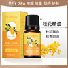 Oil with bitter wormwood with ginger, lavender cosmetic massager contains rose, 10 ml, for beauty salons, wholesale