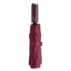Ten bones automatic red