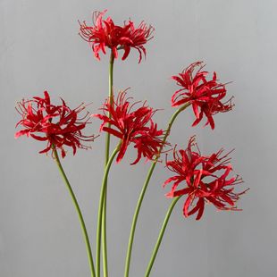 �˰��� ʯ�� ���滨��ʽ��Y�Ƶ겼���b�c�zӰ���յ����L���m