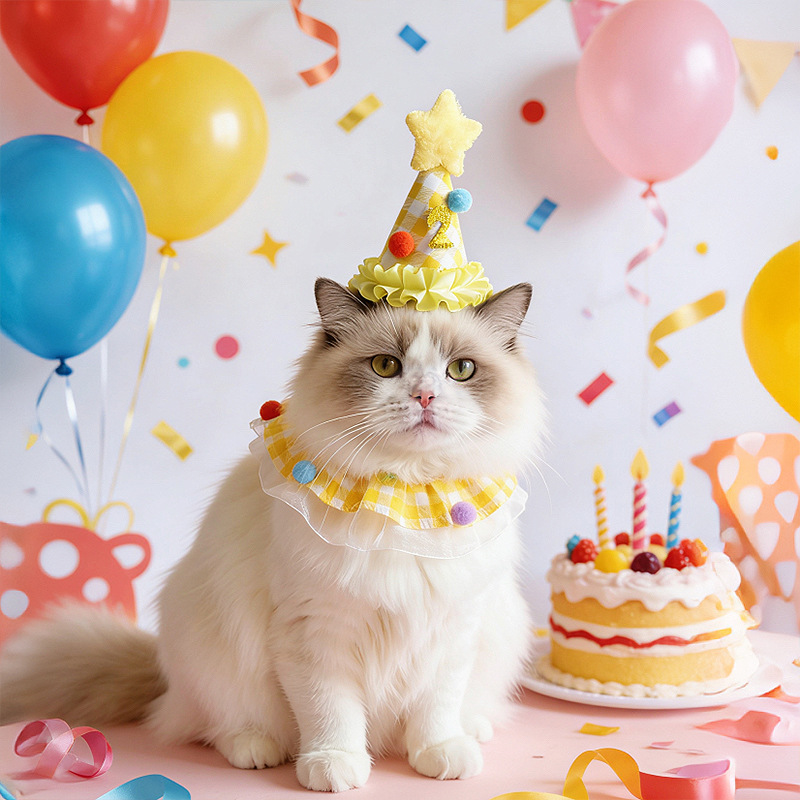 新款宠物生日套装狗狗周岁生日帽子可爱小猫咪围脖场景布置口水巾