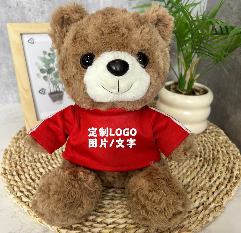 公仔小熊换衣服T恤校服毛衣娃娃毛绒玩具玩偶来图来样印制logo|undefined
