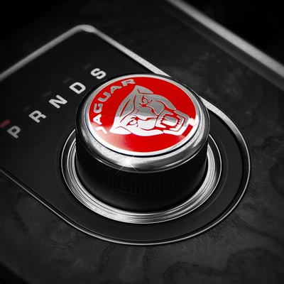 Sürətlər qutusu və əl tormozu başlıqları — control gear knob cover