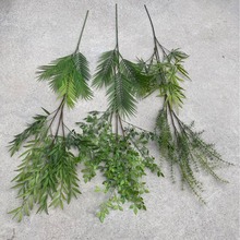 �Gֲɭϵ��c��Y���b�ɢβ����������·�������~��E18