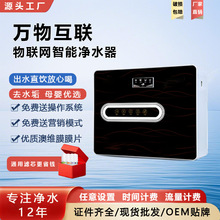 净水器家用纯水机反渗透直饮水机厨下智能共享物联网净水器售水机