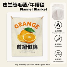 水果毛毯办公室学生午睡毯毛毯夏季空调沙发午休披肩毯薄毯盖毯子