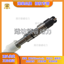 喷油器1000023122潍柴WIP10H发动机正品