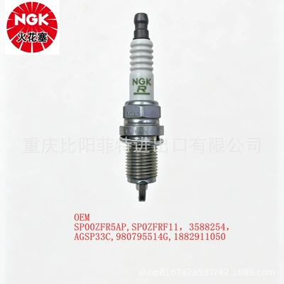 Alışdırma şamı (Sveçalar) 2262 ZFR5F-11 Nickel