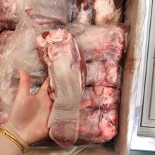 ����i���^�i�ڗl�����i������ë��19���ʳ�����r���]