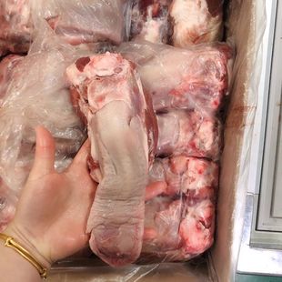 ����i���^�i�ڗl�����i������ë��19���ʳ�����r���]