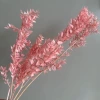 Pink Lucky Leaves (about 5 branches)