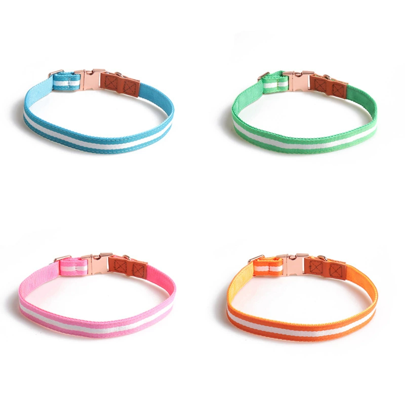 Aminger Новый продукт Pet Made Loan Color Block Воротник из полиуретана Цельнометаллический ленточный воротник из розового золота