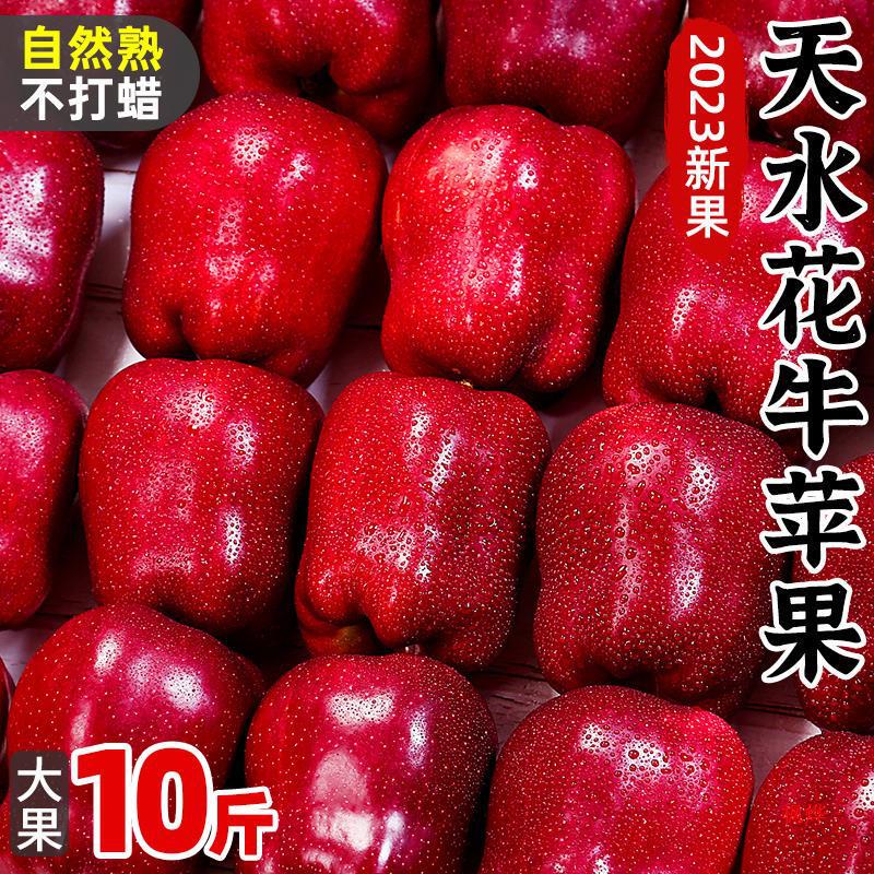 Gansu Tianshui Huaniu Apple 5kg Seasonal Fresh Fruit Sugar Heart Red Snake Pink Apple Ugly Fruit Whole Box Free Shipping