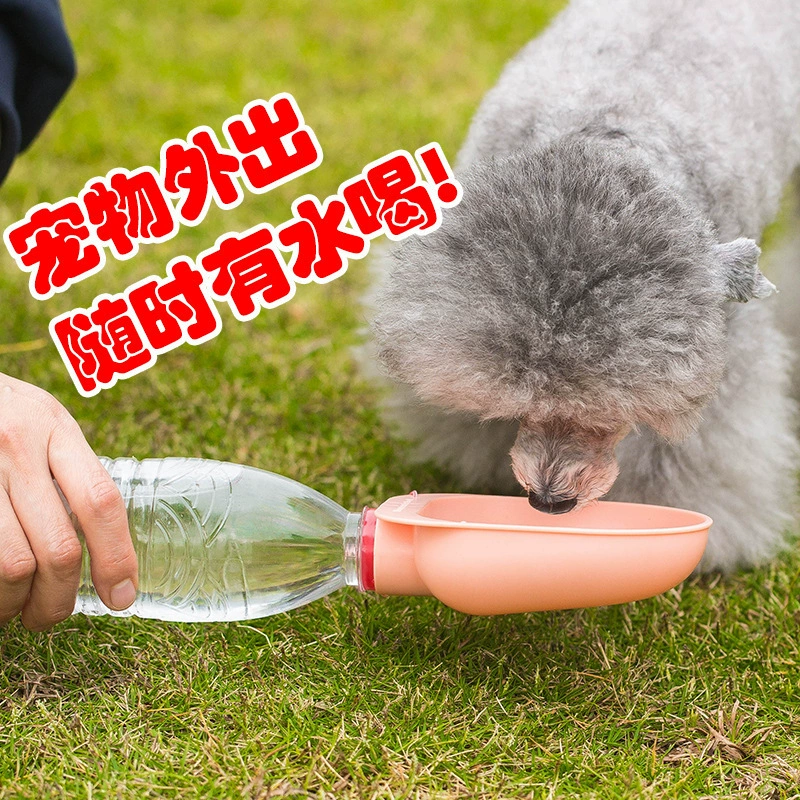 Домашние животные в сопровождении портативных питьевых напитков