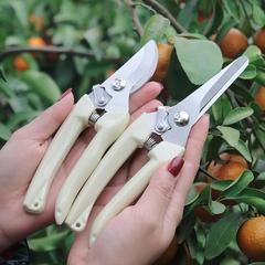 Stainless steel branch shears, pruning shears, fruit picking and flowering shears, garden fruit tree flower branch grafting, gardening shears, knife tools