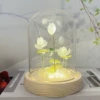 10×15 белый лотос (USB)