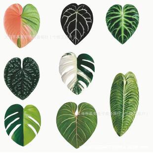 2026�羳�Ą��Ꭷ���~�����N���������zܛ�ű����N3D�~Ƭ�b��N