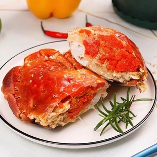 ���з�M���ك����з�S��з�r��������з��ϯ������ʳ��20��