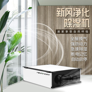 Minfeng MFXF-50L fresh air purification ceiling dehumidifier warehouse/basement high-power moisture absorber white