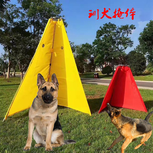 �p�����wӖȮ��Ʒ�RȮ��ҧ�oȮ�lӖ���ͽй���Ȯ���w���������w