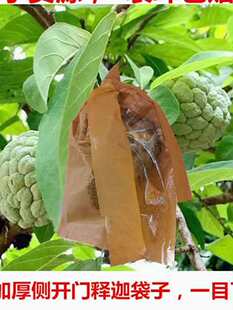 ɏ�F�״����ô��������չ����֦���۴����x��͸���״����_��