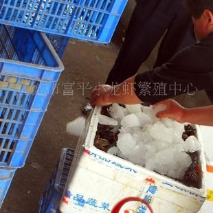 ���l�˹���ֳ��ƷС���r�����r�N�� �˳Ǵ��r ˮ�a�Bֳ ���r�Bֳ