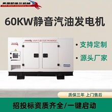 美国瑟维尔60KW汽油发电机大功率SW60KWQY单三相质保三年静音升级
