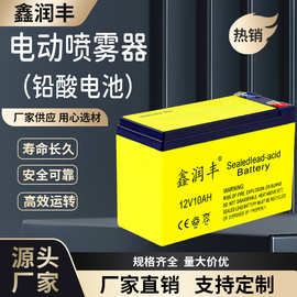 定制电动喷雾器电池铅酸免维护蓄电池12v8a12a电动喷雾器配件电池