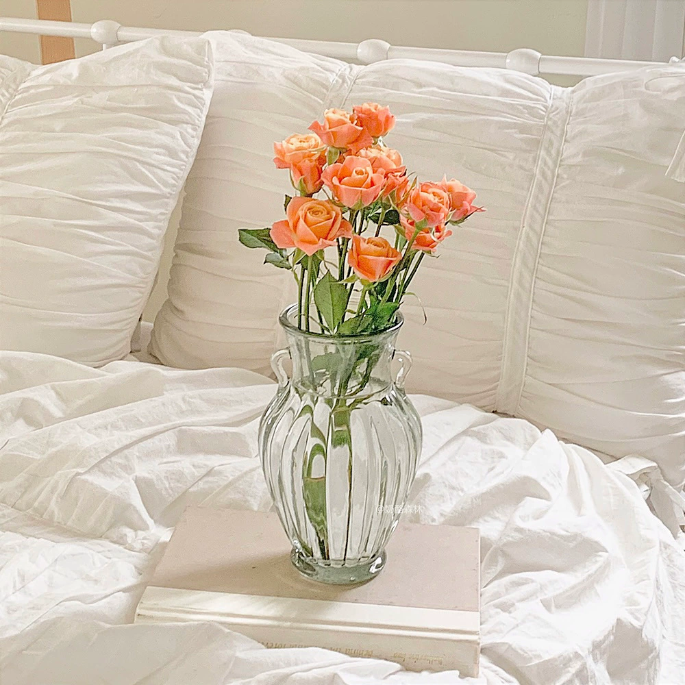 Ins Стиль Садовая бинауральная прозрачная стеклянная ваза для растений Гидропонная Цветочная композиция Настольные Креативные украшения Нишевая декоративная бутылка