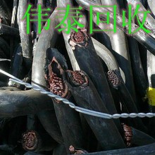 �|ݸ�؅^�U��|�r�� ���؏U��|���չ�˾ ���S�U�f늾�����