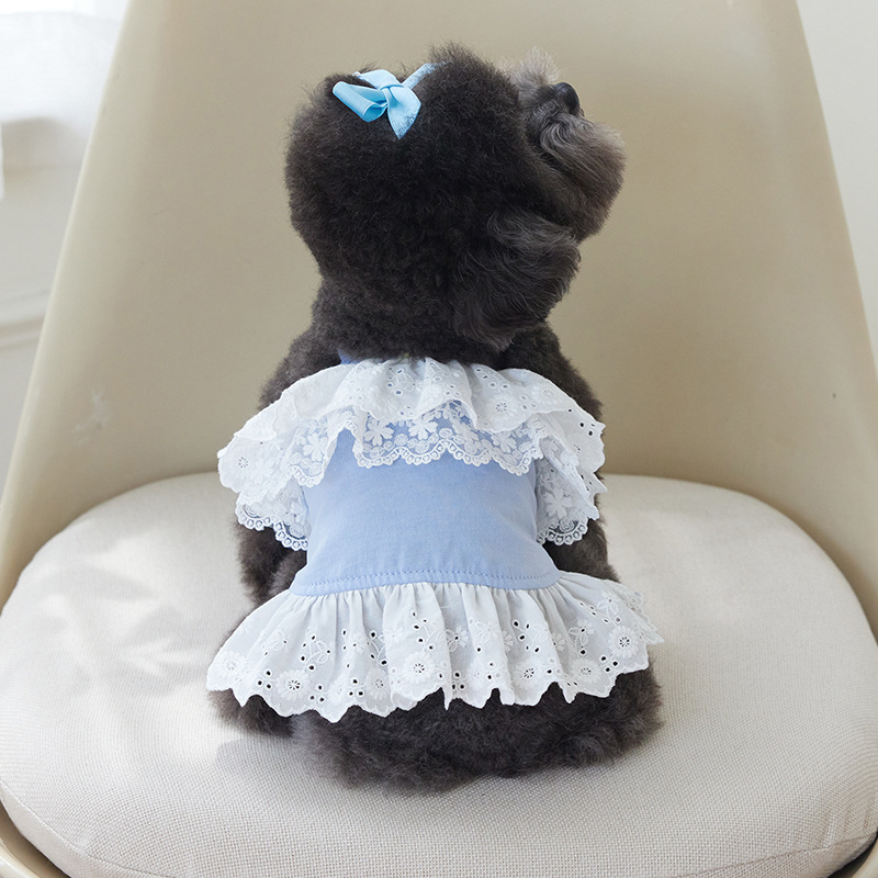Pet Dog Cat Clothes Teddy Bears Fadou Corgi Schnery Little Dog Spring and Summer Lace dress Pet Dog Cat Clothes Teddy Bears Fadou Corgi Schnery Little Dog Spring and Summer Lace dress