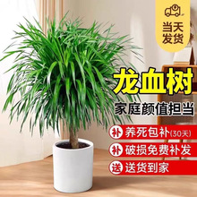 ��횘����Դ��Ϳ͏d���^�Gֲ�k���҃���Ѫ������С�玧���Ϙ��辰