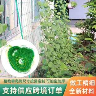 ֲ�����پW�����S�Ͻz�ϵ������ѿ���¼�������Nֲ�W������ܾW