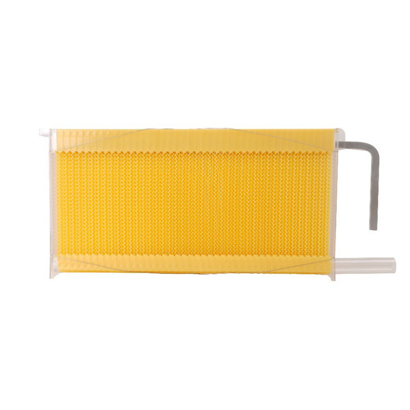 微信图片_202412121719172