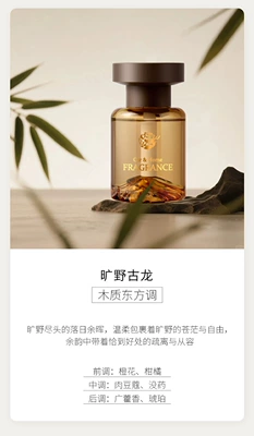 Custom Oem Car Fragrance, Car Perfume Aromatherapy - mountain-peak-wilderness-cologne-low-concentration-of-mesh-cover