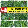 门头米兰客厅背景假花
