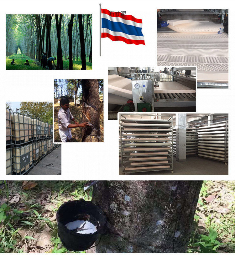 b9a32821-868c-46eb-b9c6-22f08ace00b7.jpe