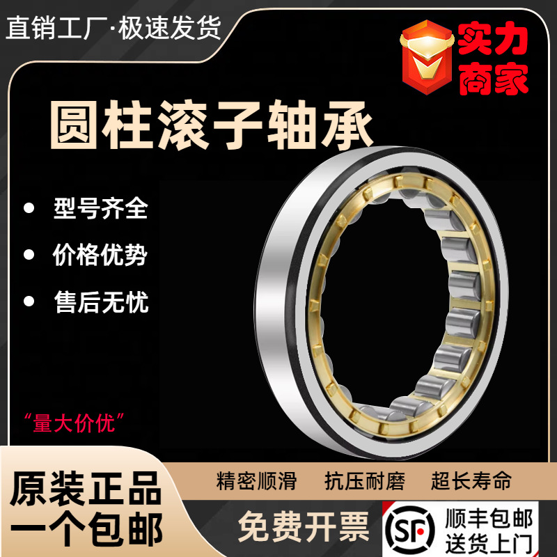 圆柱轴承NU NJ NUP NF 1004 1005 1006 1007 1008 1009 M EM/C3