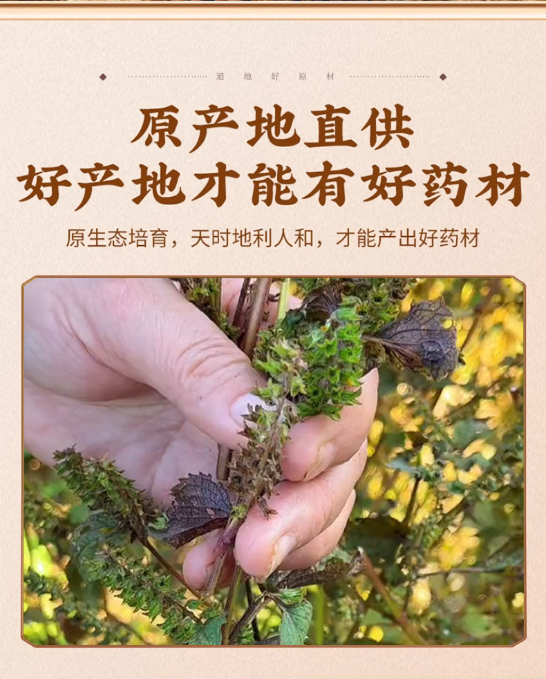 Perilla Seed Zi Su Zi 紫苏子 Dried Seeds 500g Bulk Culinary Seasoning Herb key features