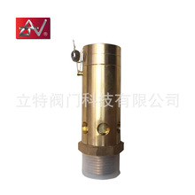 �S��ֱ�N����ȫ��ʽ�Չ��C��ȫ�y ��̖A28X-16T���s�՚��S�~�y�T