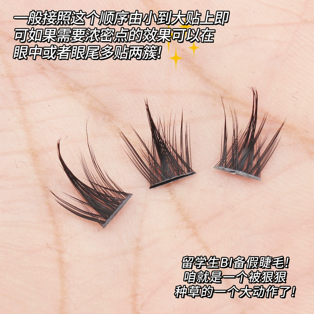 False Eyelash Tray, Dense Cluster Lashes, Capacious 360-Cluster, 11/12/13 mm Options