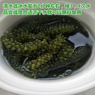 ���������l���r�L�۲˺���˺��ˉ�˾�Gɫ�~���u100g���l�羳���