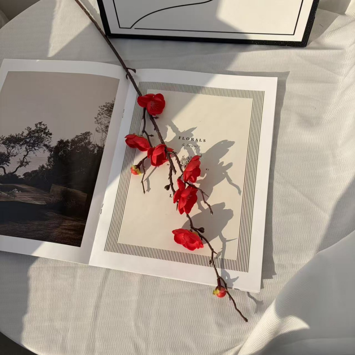 Simulación flor de ciruela estilo chino decoración de flores para el hogar arquitetura floral pastoral rama de ciruela props de disparo flor artificial explosión transfronteriza