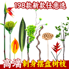 �Ƶ�[�P�b��ݴ����b[���ɱ����r�����b�֦��ľ�b��⾳