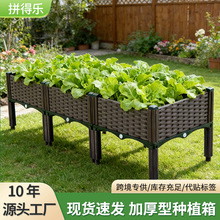 �羳؛Դ�߲˷Nֲ�仨�仨�������ƄӷNֲ��N�����̨�N��