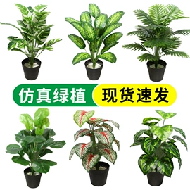 仿真绿植;仿真藤条;仿真花