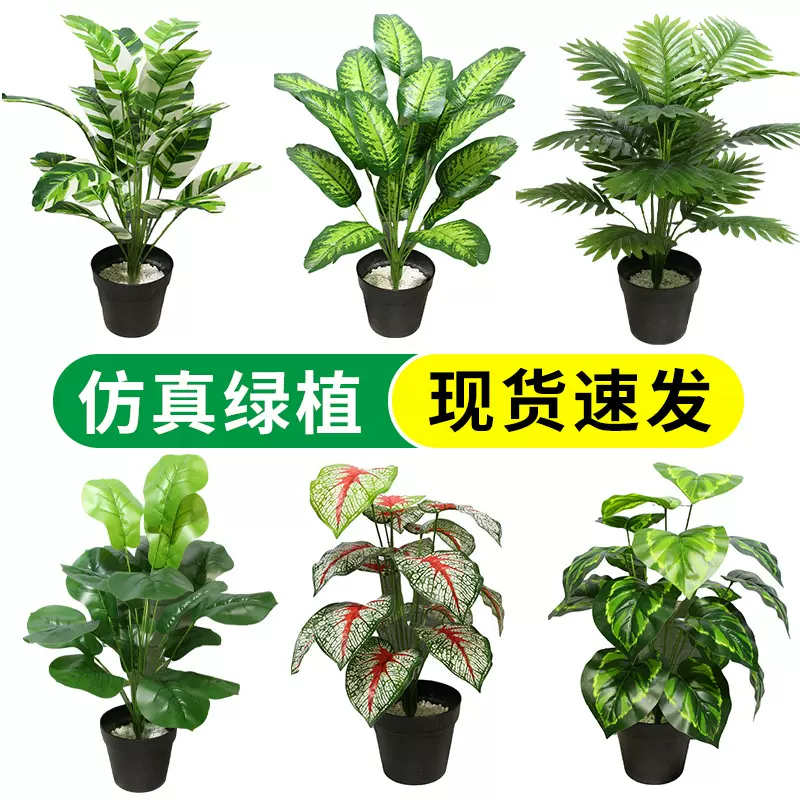 跨境仿真绿植18头散尾葵办公室内景装饰盆景造景绿植龟背竹盆栽